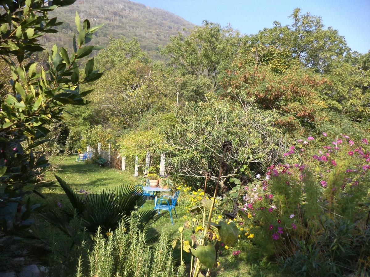 B&B Casa Codega Intragna Bagian luar foto