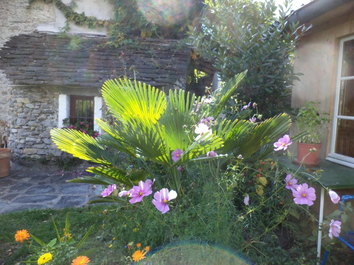 B&B Casa Codega Intragna Bagian luar foto