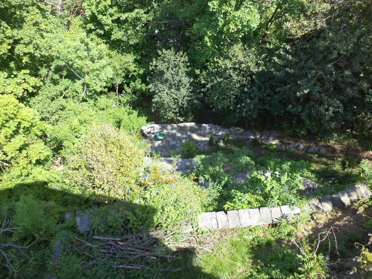 B&B Casa Codega Intragna Bagian luar foto